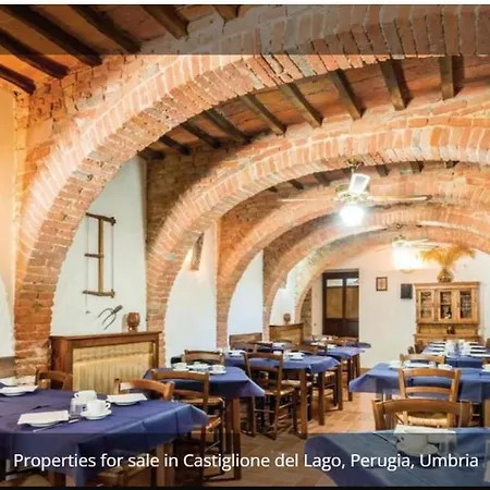 Κατάλυμα σε φάρμα Agritur Osvaldo Castiglione Del Perugia Piscina Acqua Salata Possibilita Colazione Castiglione del Lago